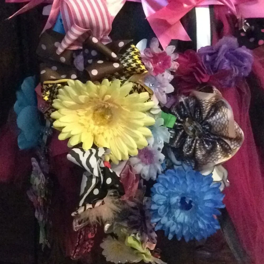 Adorable barrette holder & all kinds of barrettes!